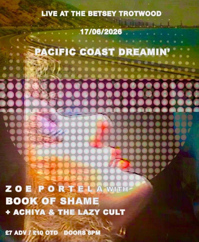 Zoe Portela and the Book of Shame